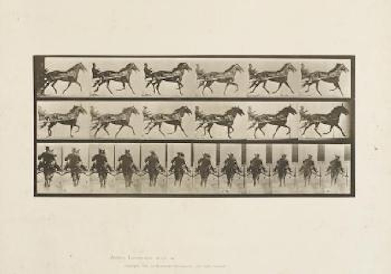 Animal Locomotion by Eadweard Muybridge