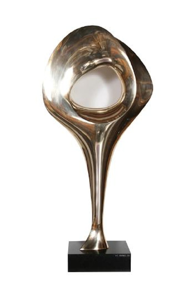Cororeal by Antoine Poncet
