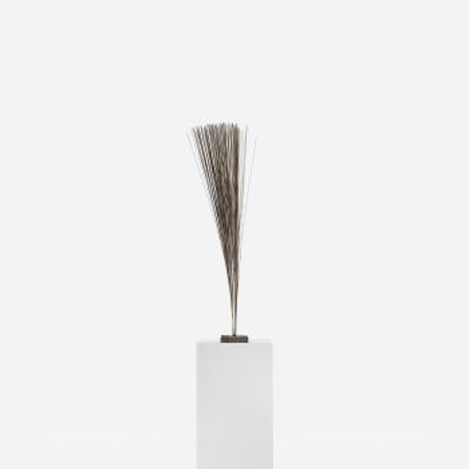 Untitled (Spray) by Harry Bertoia