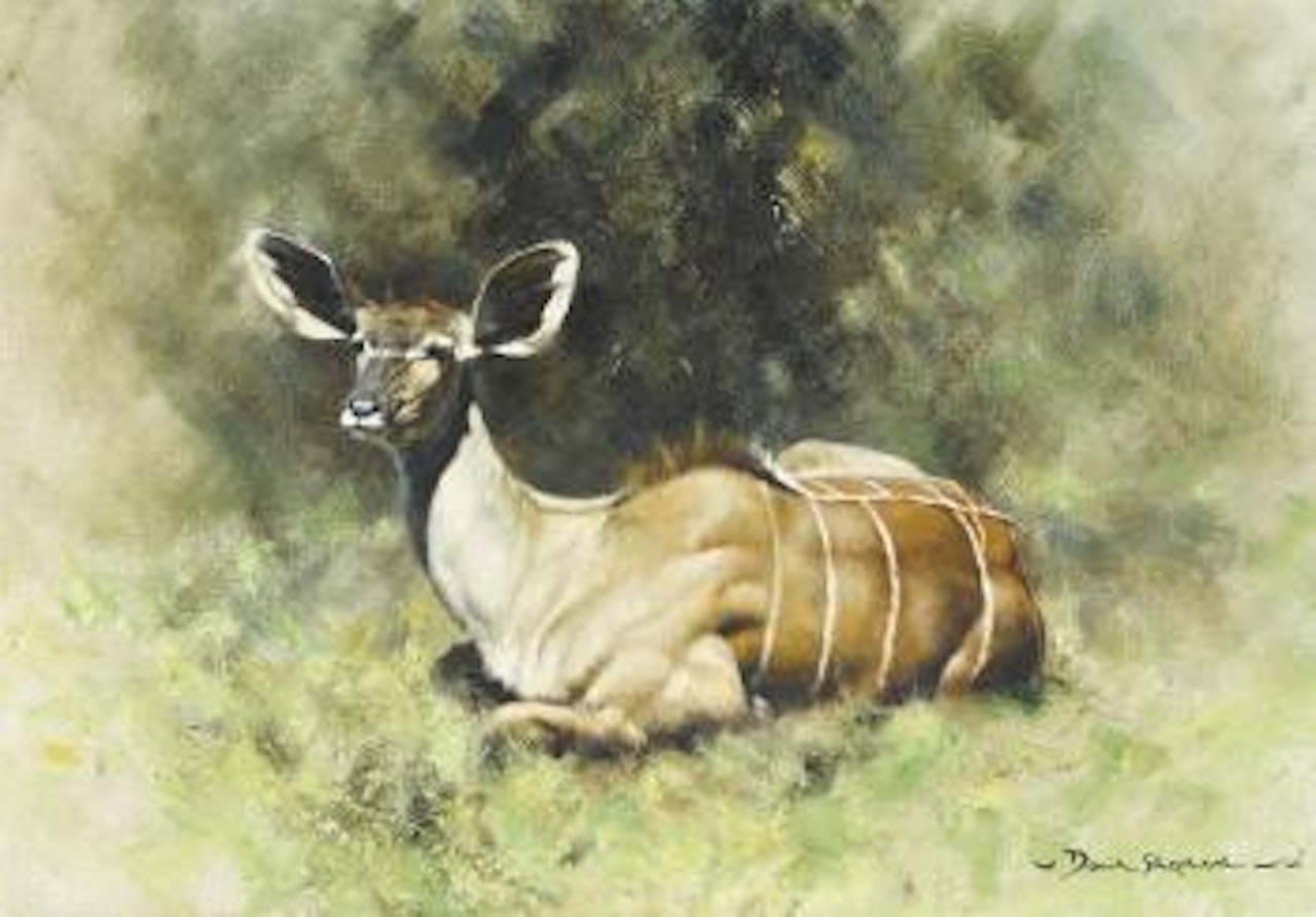 Kudu Calf by David Shepherd