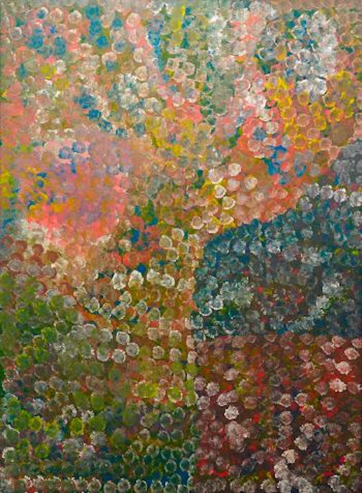 My country by Emily Kame Kngwarreye