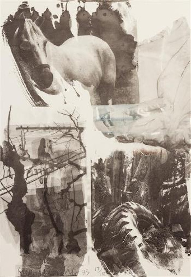 Horse silk by Robert Rauschenberg