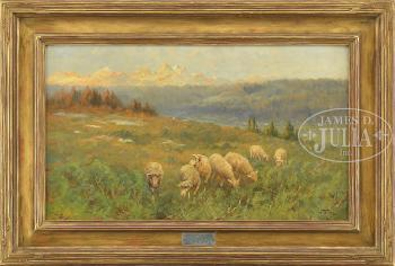 Sheep in central Oregon by John Fery