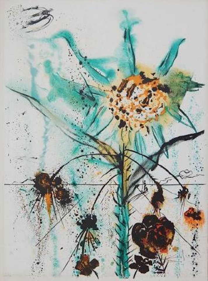 Sun goddess flower (Fields 72-2) by Salvador Dali