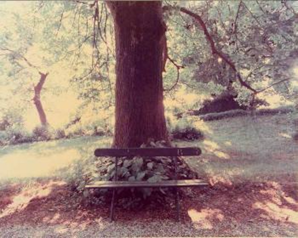 Ravenna - Un piede nell'Eden by Luigi Ghirri