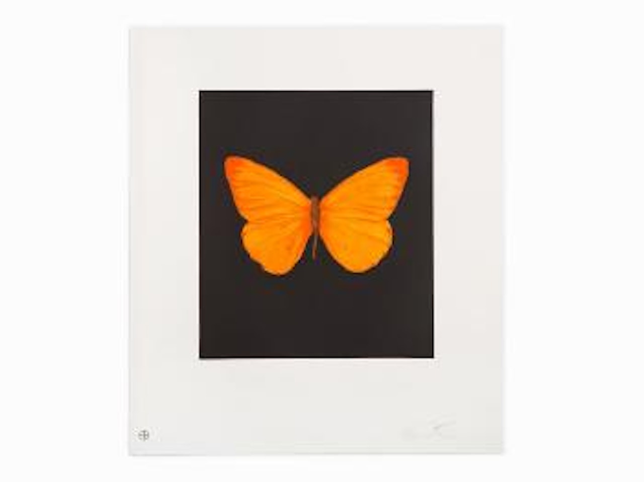 Butterfly Etching (Hope) by Damien Hirst