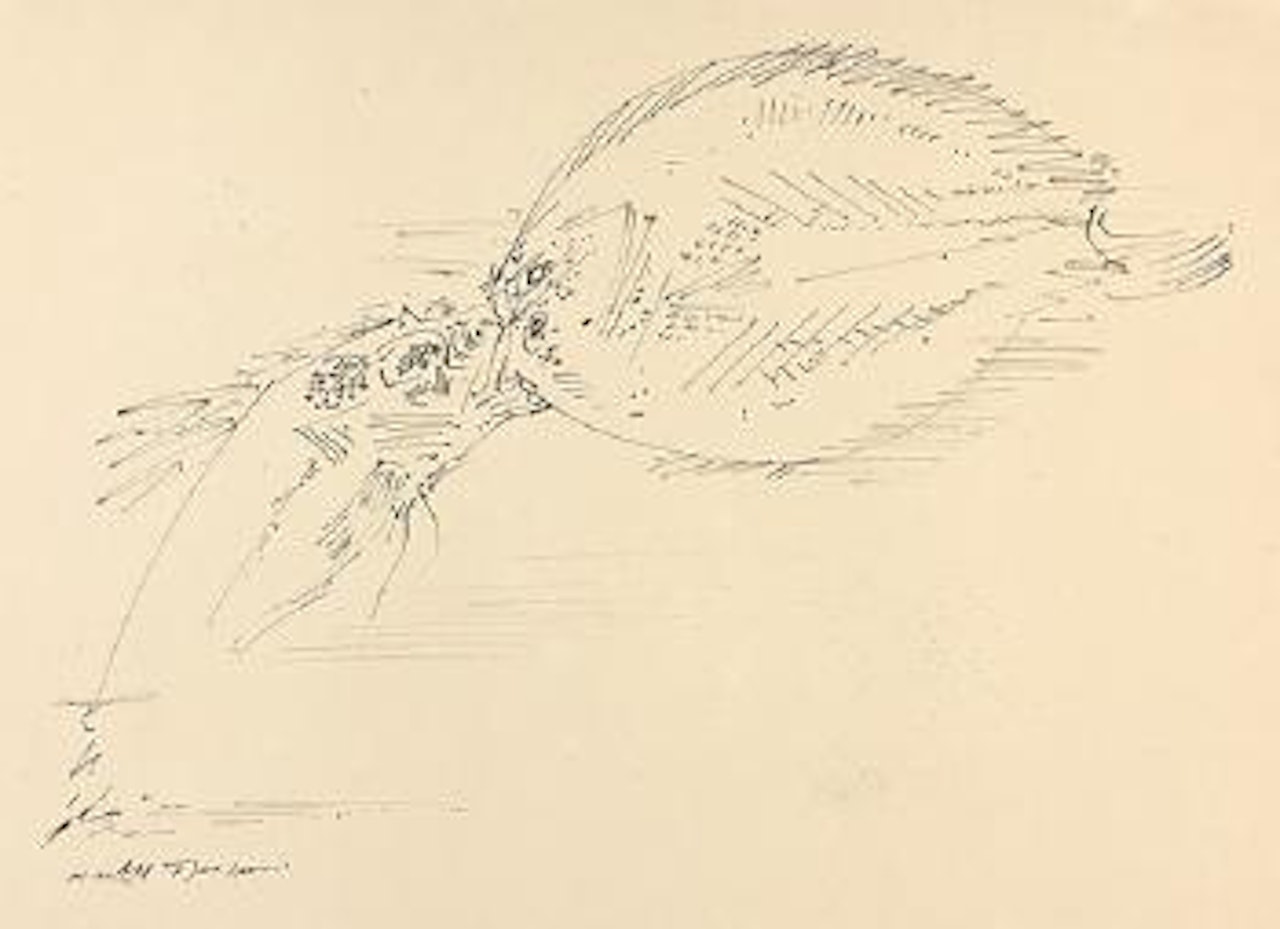Deux Poissons by André Masson