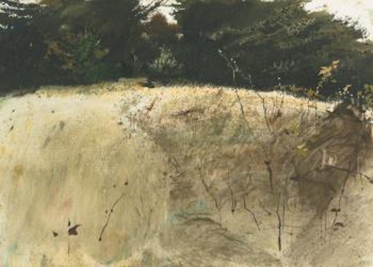 Fall Grasses by Andrew Wyeth