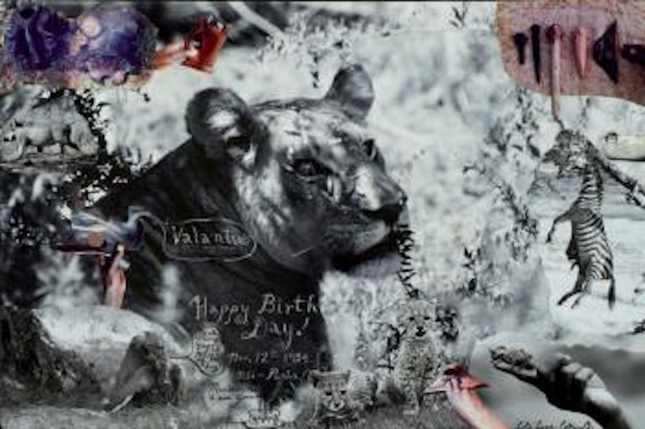 Lion by Peter Beard