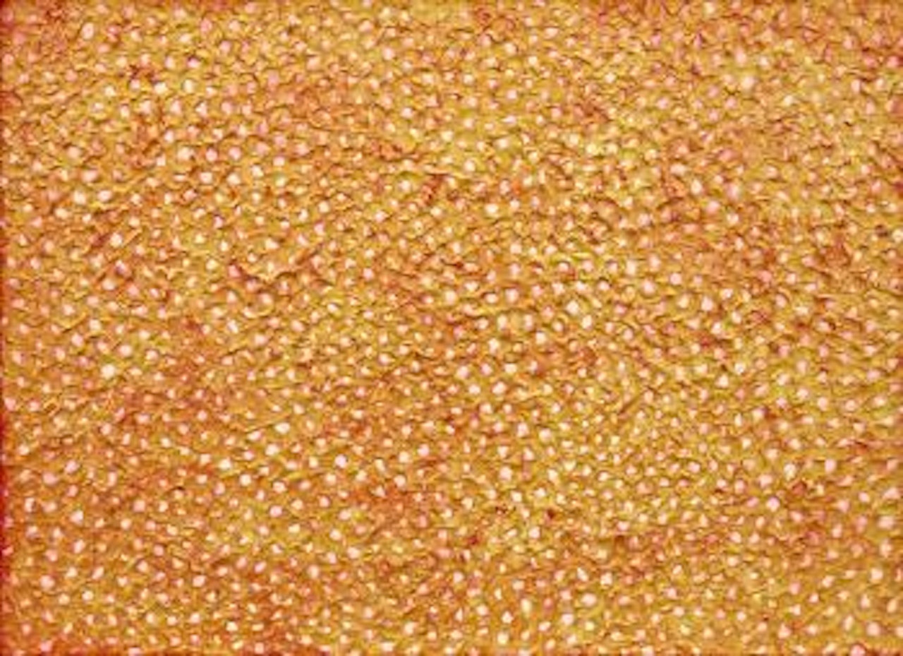 Infinity Nets (ZATSAI92) by Yayoi Kusama