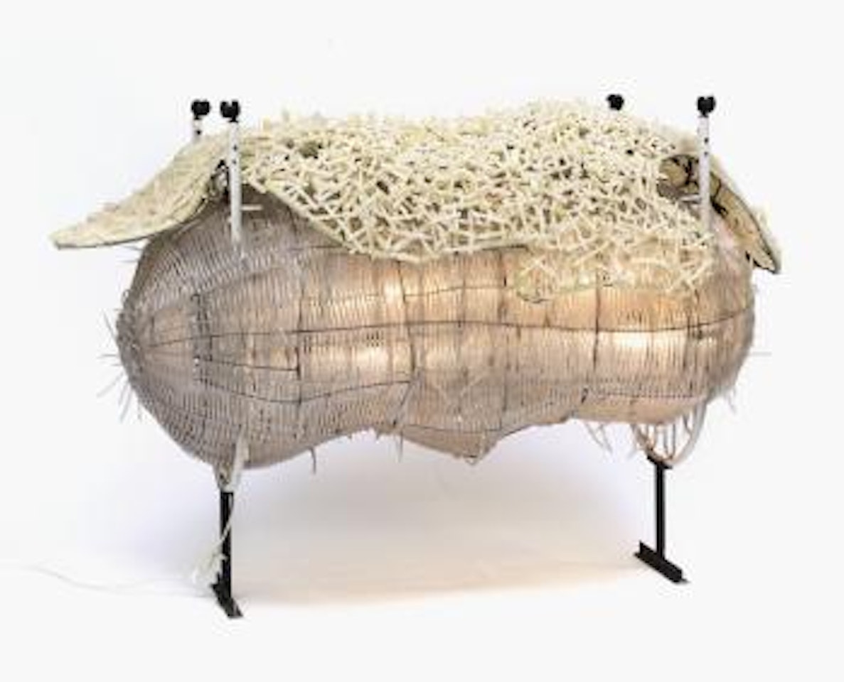Lumière Innocente (Light of Innocence) by Chen Zhen