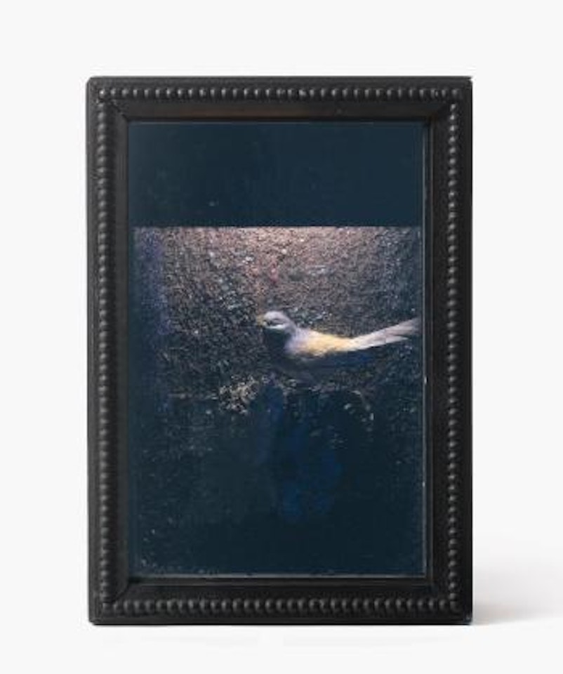 Untitled (Bird Box) by Joseph Cornell