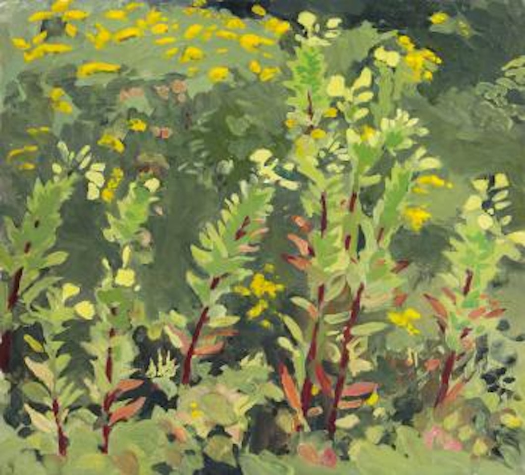 Primroses and Goldenrod by Fairfield Porter