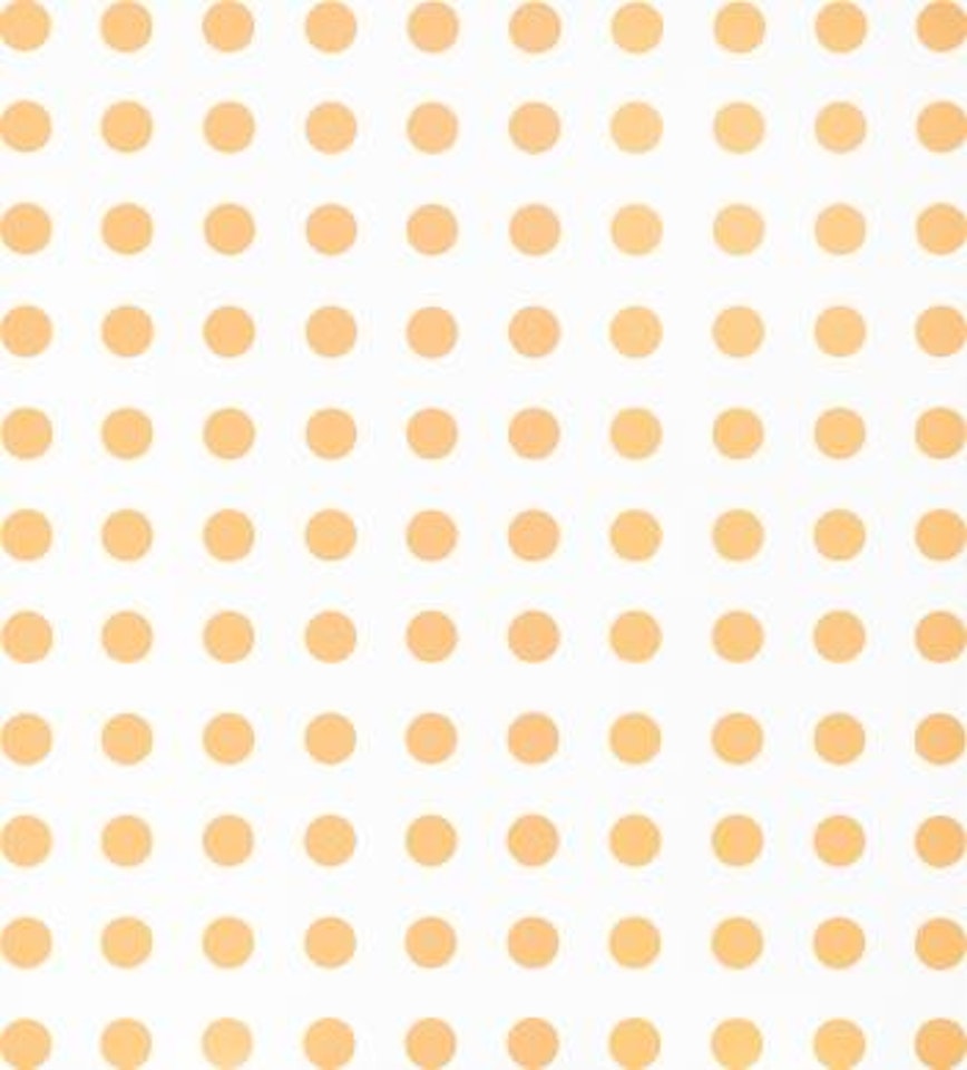 Dipalmitin by Damien Hirst