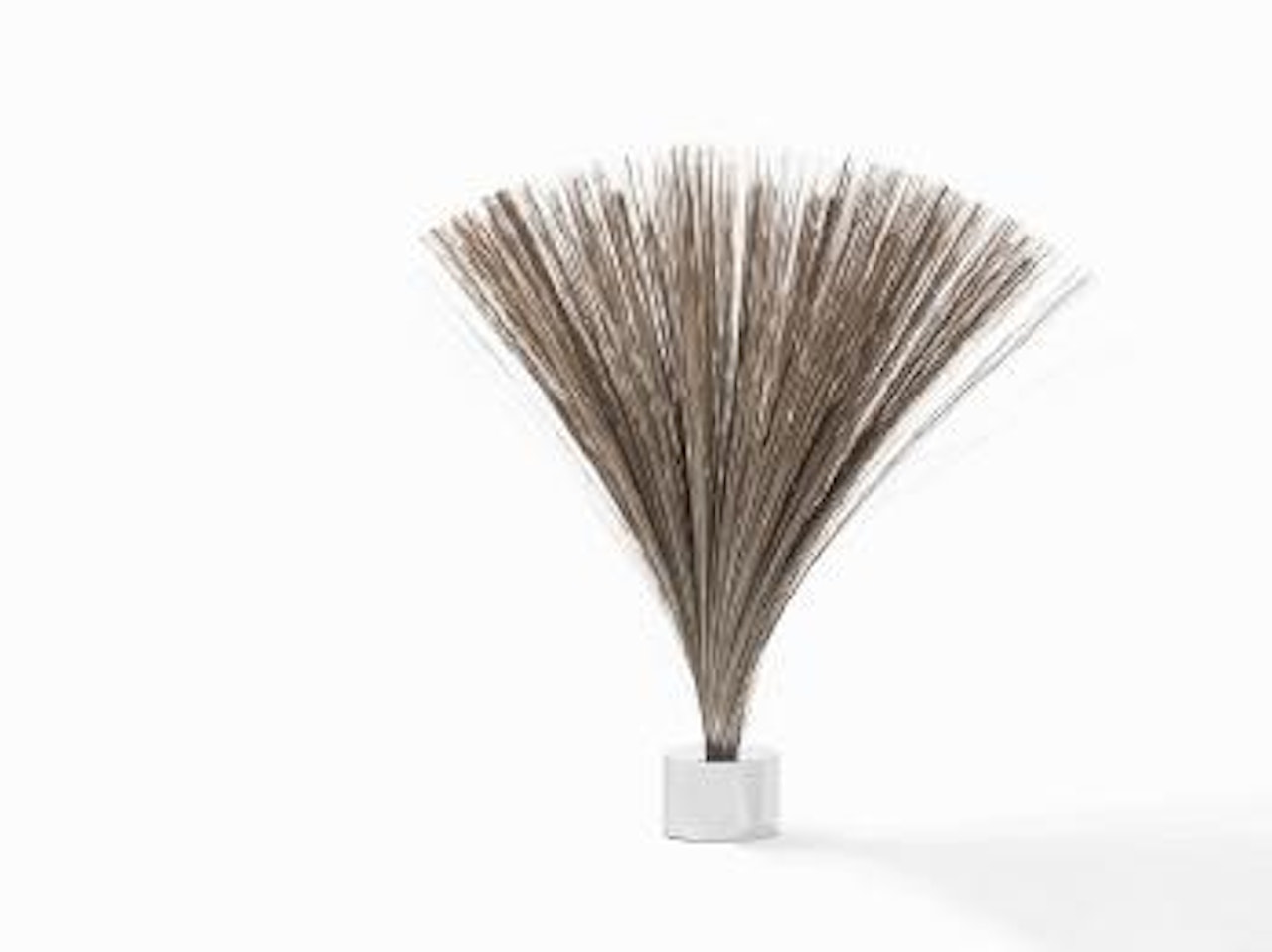 Spray by Harry Bertoia