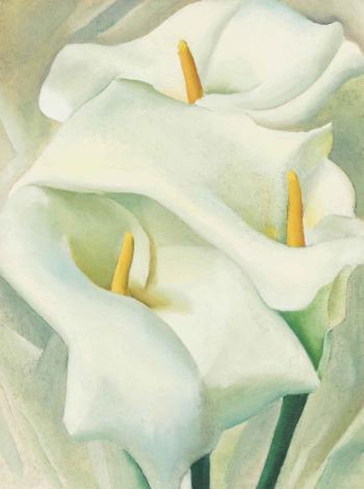 Calla Lilies by Georgia O'Keeffe