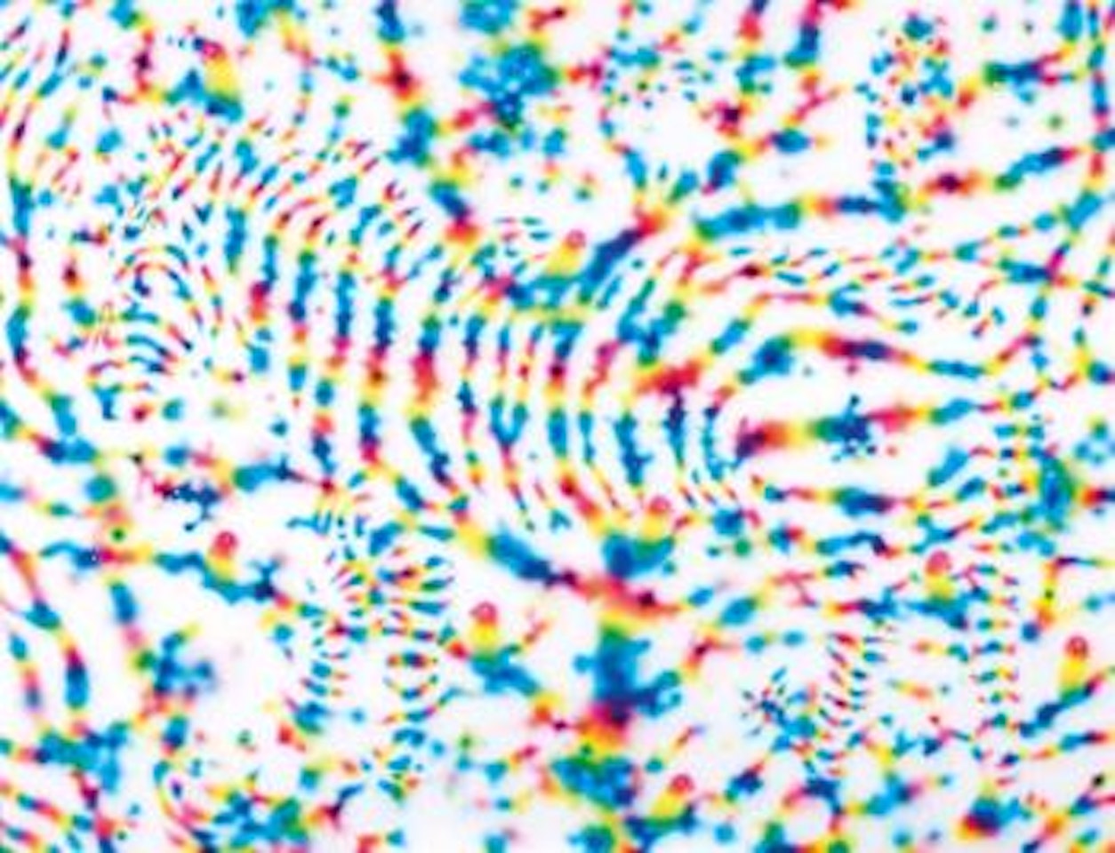 Jungle of color by Tomoya Tsukamoto