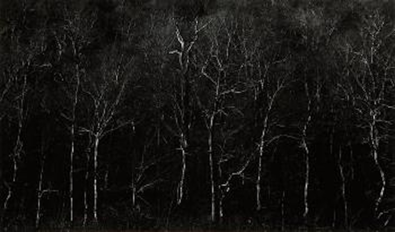 New Hampshire by Harry Callahan