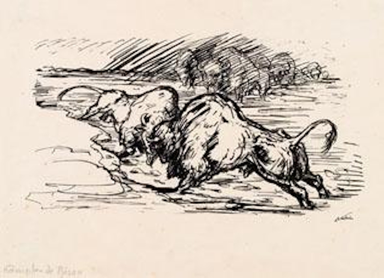 Kämpfende Bison by Alfred Kubin