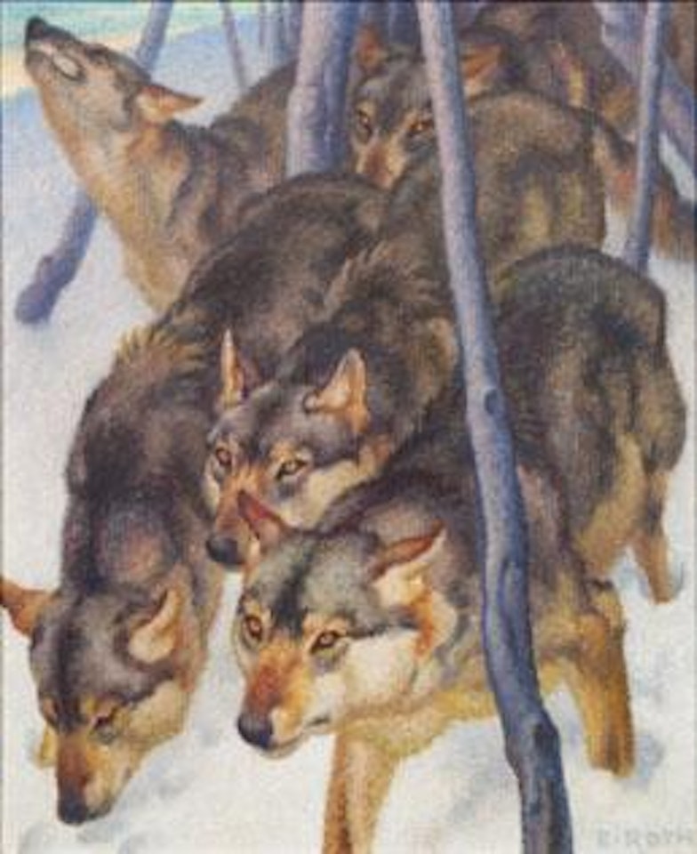 Wölfe im Winter by Norbertine Bresslern-Roth