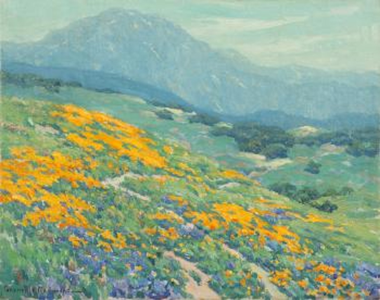 Poppies and lupine in a California landscape by Granville Redmond