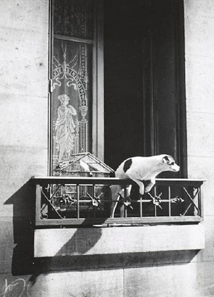 Paris by André Kertész