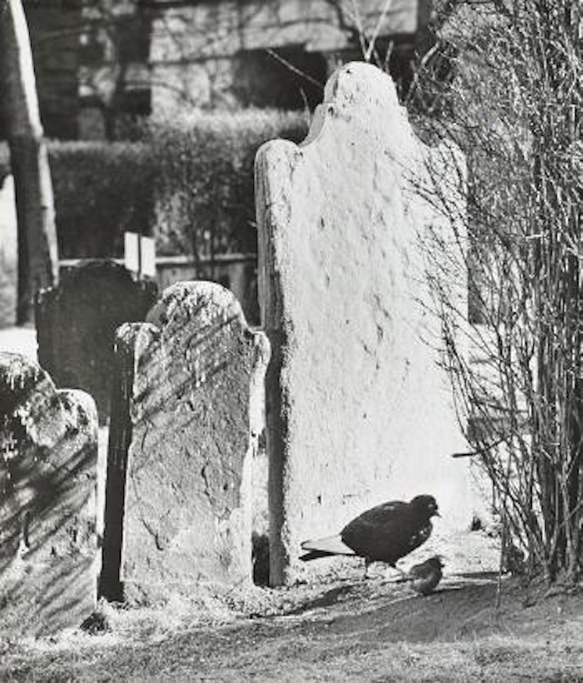 Les deux amis, New York by André Kertész