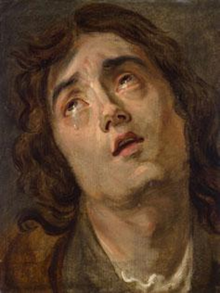 Kopfstudie eines jungen Mannes by Anthony van Dyck