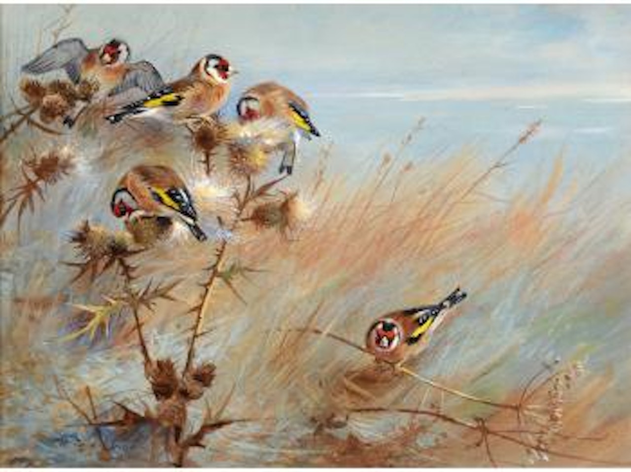 Goldfinches by Archibald Thorburn