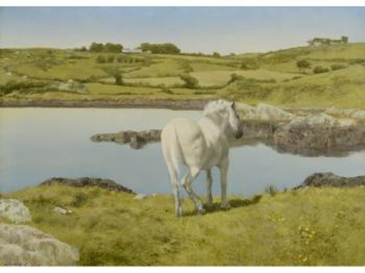 Estuary, Co Cork by Patrick Hennessey