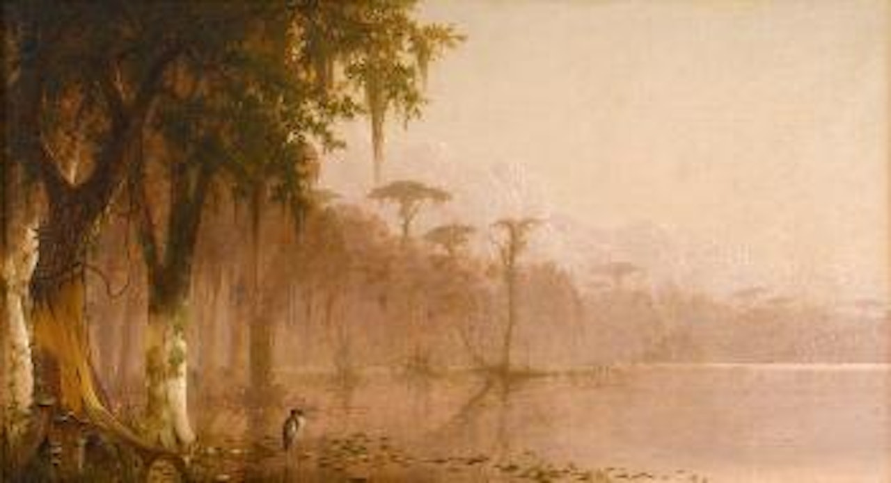 Heron on the bayou by Joseph R. Meeker