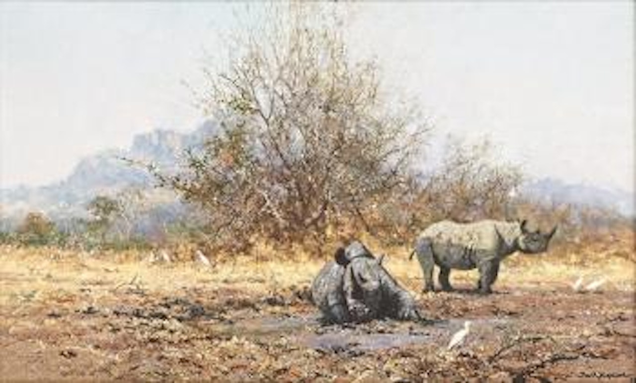 Rhino I by David Shepherd