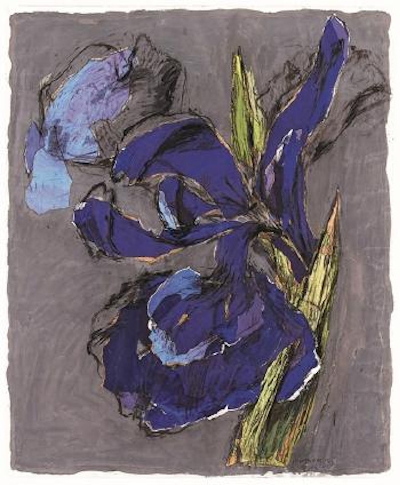 Iris by William Kentridge