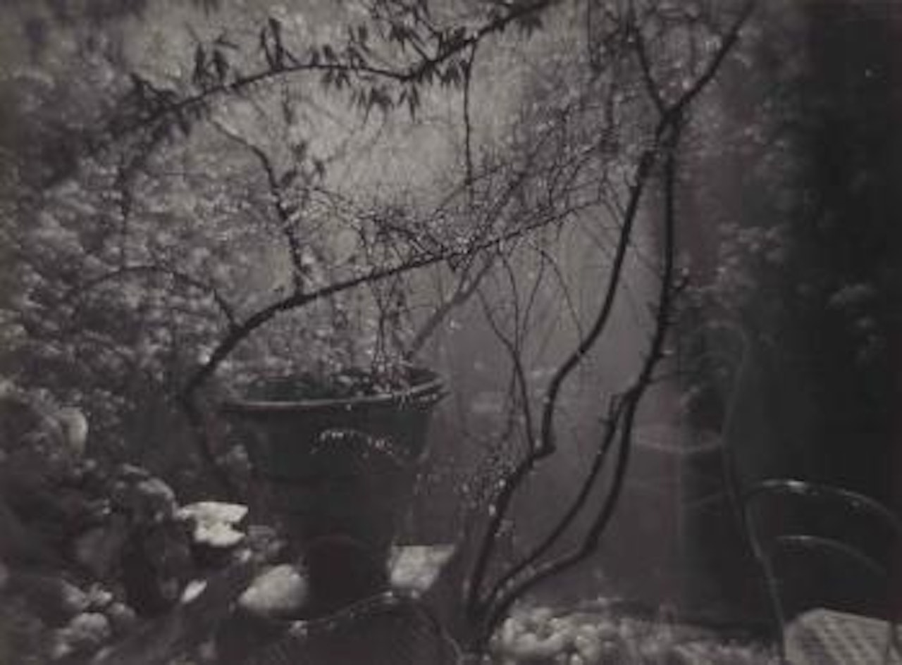 Summer Shower In The Magic Garden by Josef Sudek