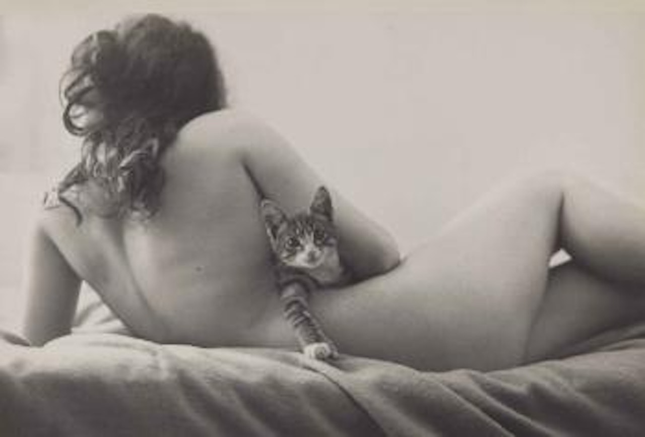 Nude (Marie) With Cat by Robert Frank