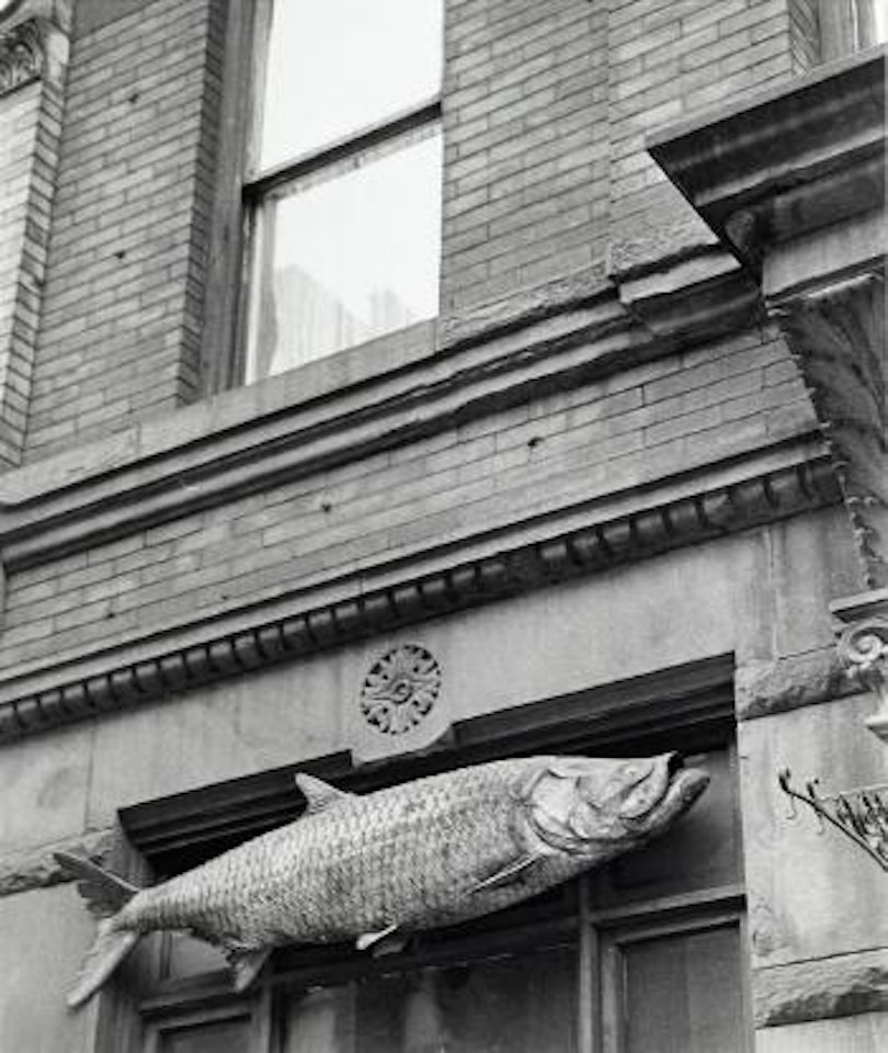 Fish sign, New York City, NY by André Kertész