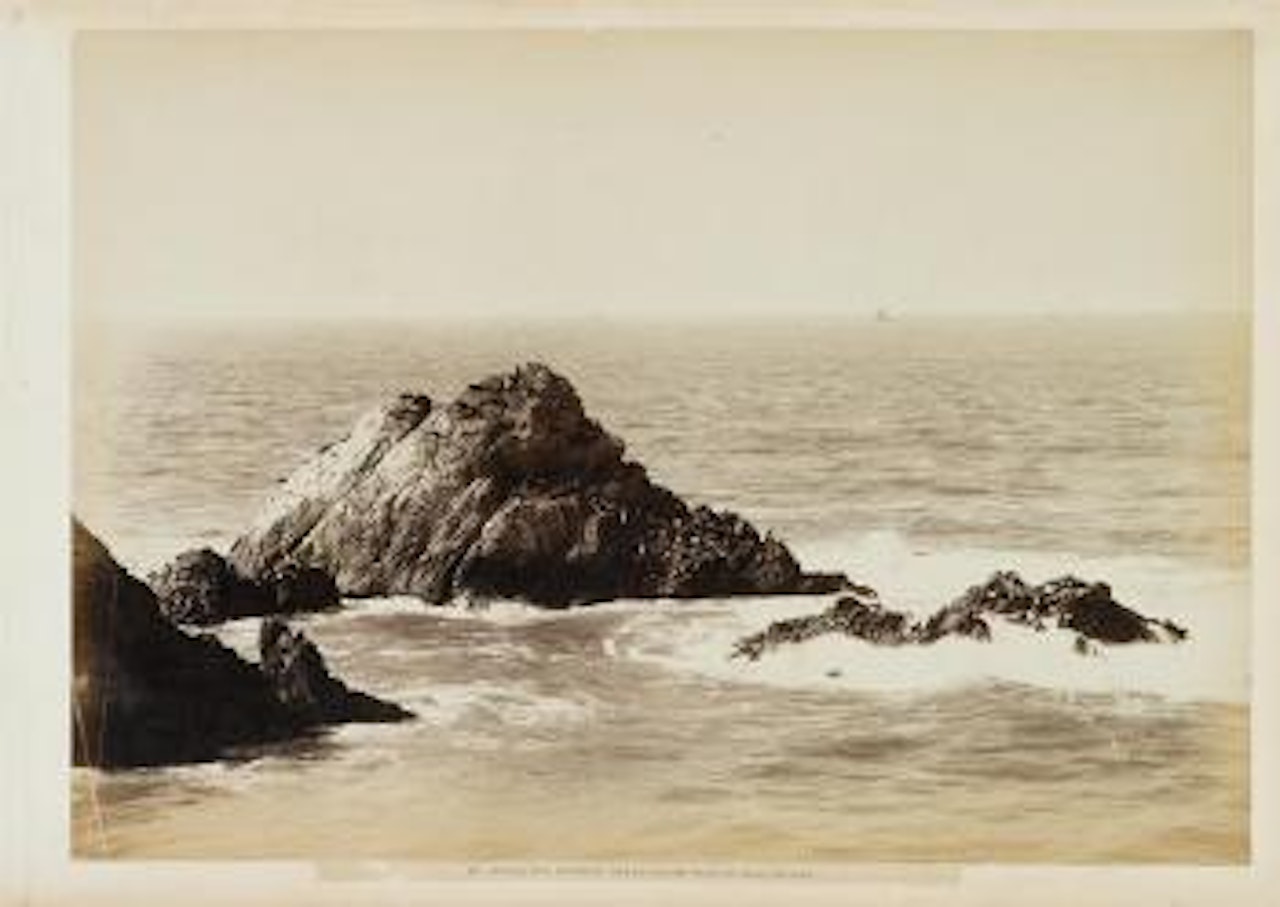 Seal rocks, California by Eadweard Muybridge