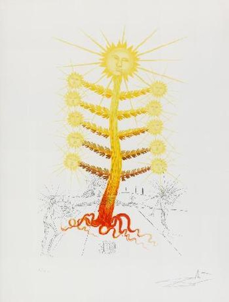 Soleil (Helianthus Solifer) Sonnenblume by Salvador Dali