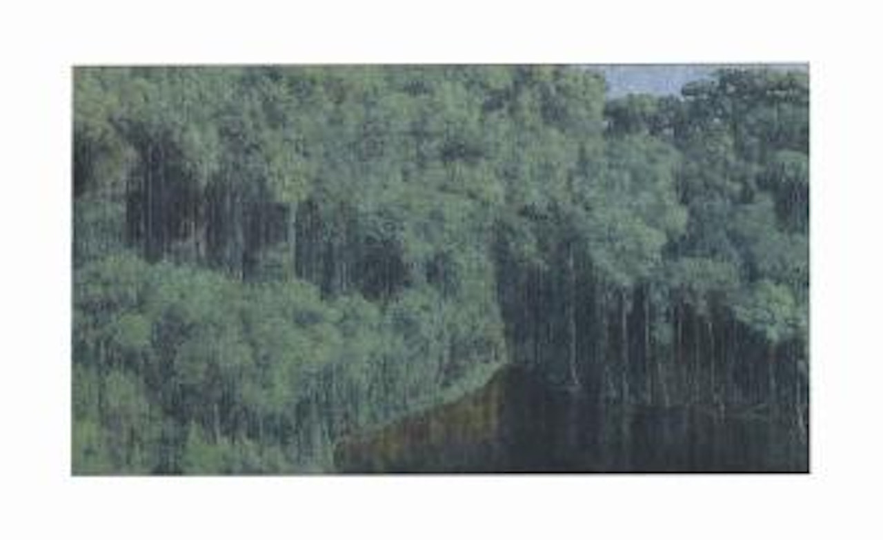 Selva Tropical by Armando Morales