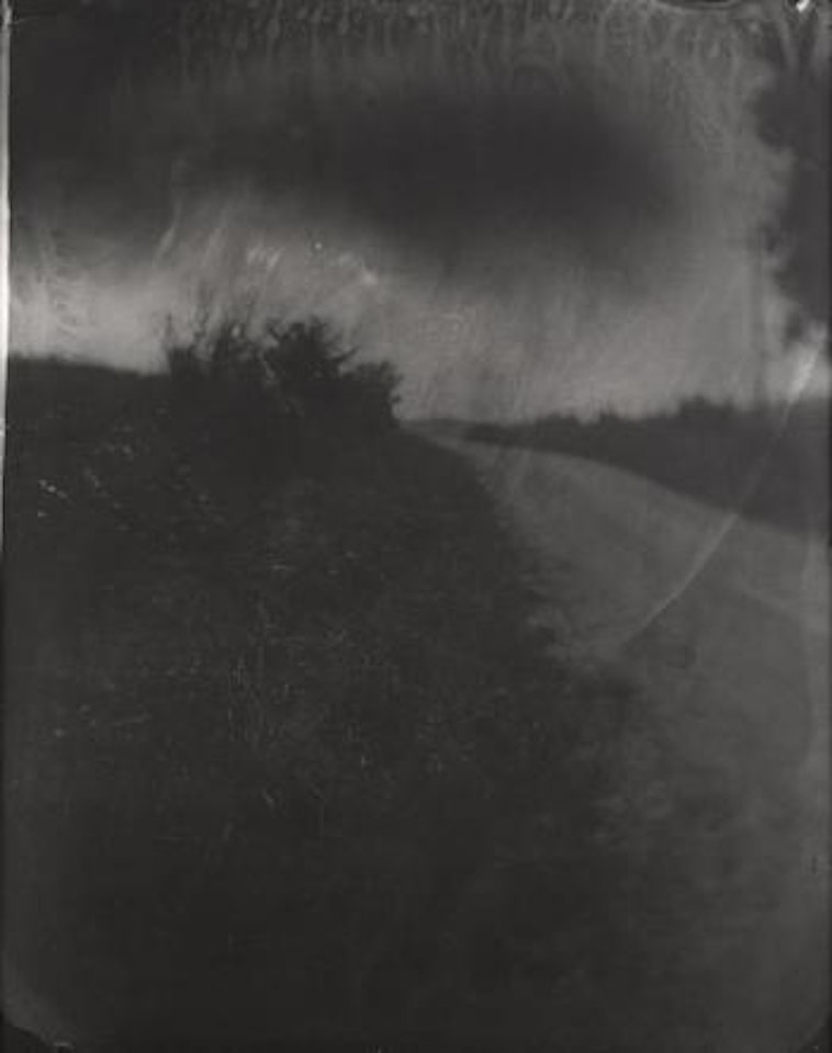 Untitled by Sally Mann