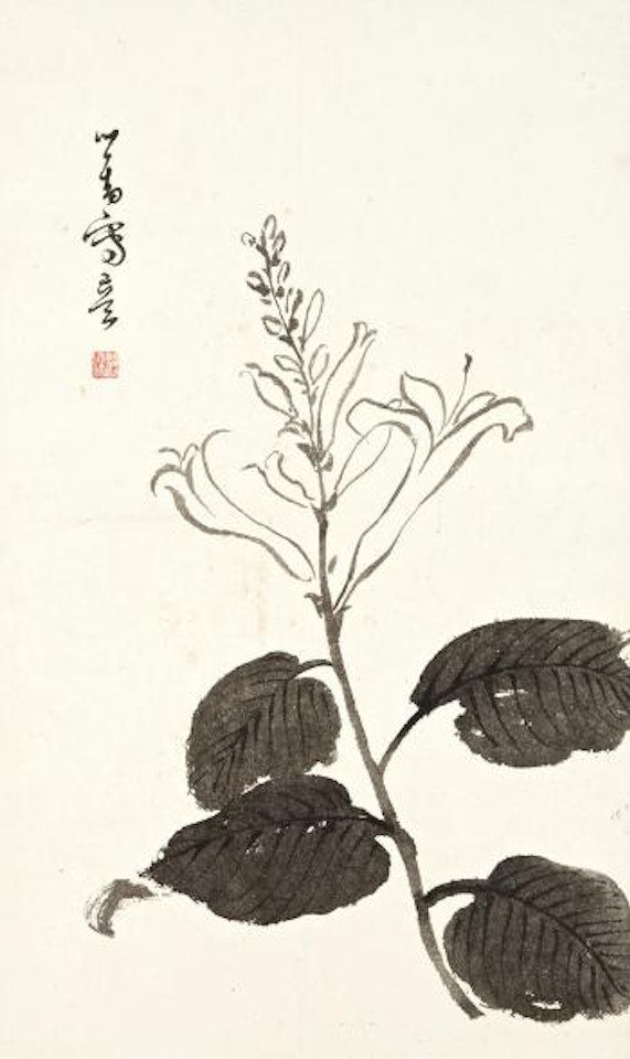 Plantain Lily by Pu Ru