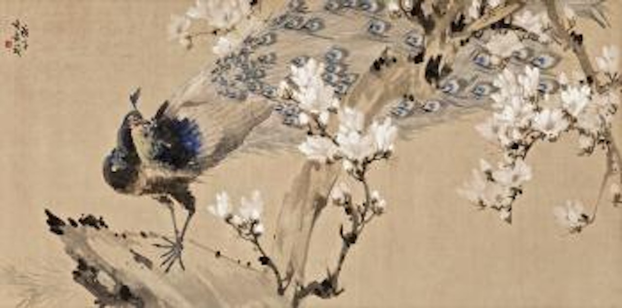 Magnolia And Peacock by Zhang Shuqi