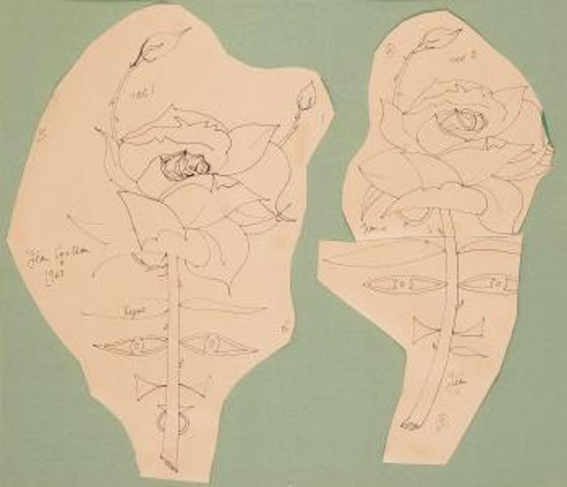 Rosa 1 y rosa 2 by Jean Cocteau