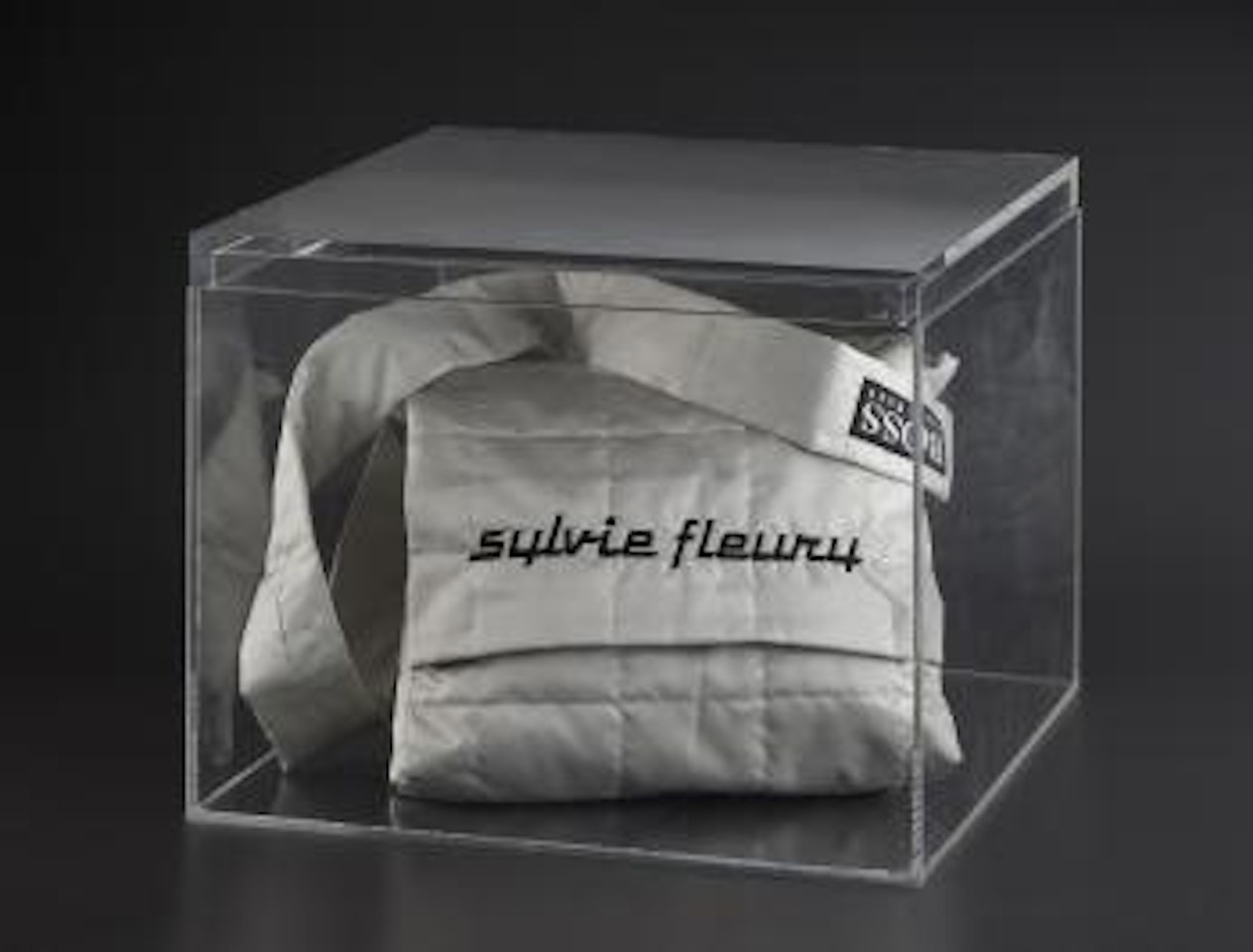 Matching messenger bag by Sylvie Fleury