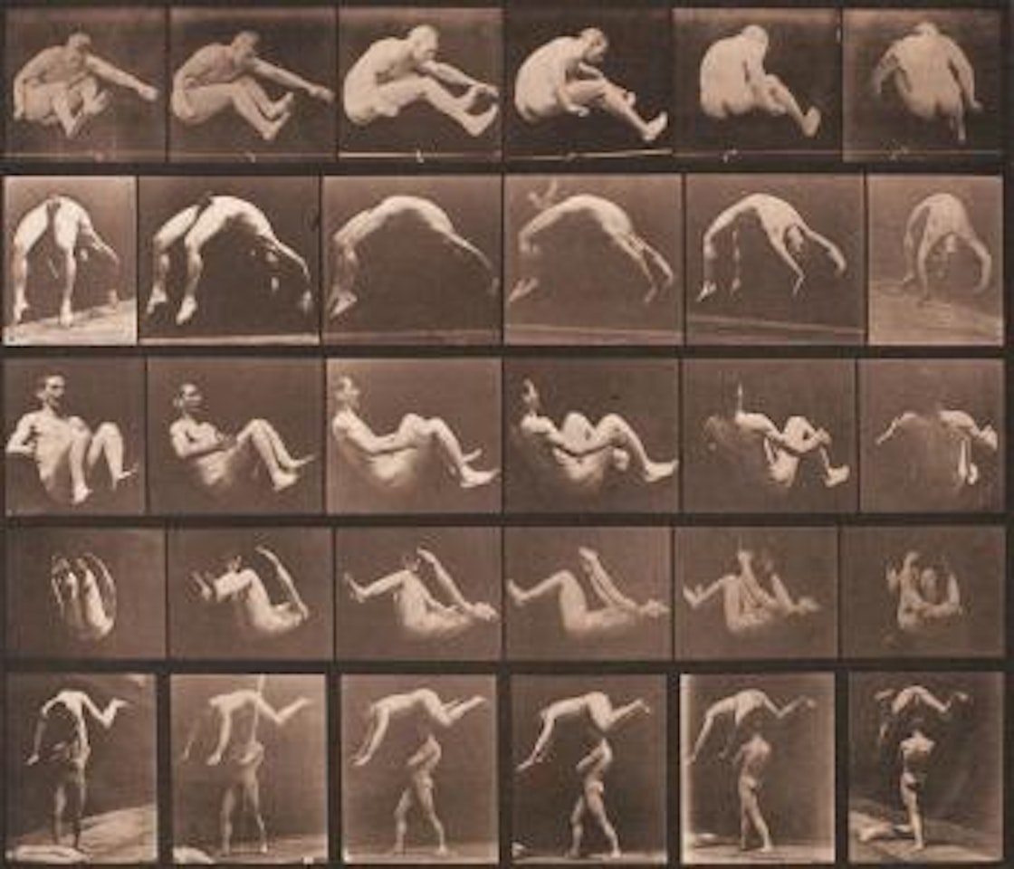 Animal Locomotion, Pl. 522 by Eadweard Muybridge