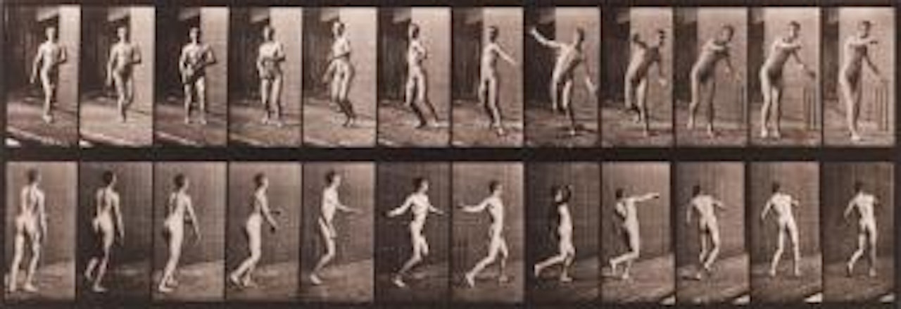 Animal Locomotion, Pl. 289 by Eadweard Muybridge