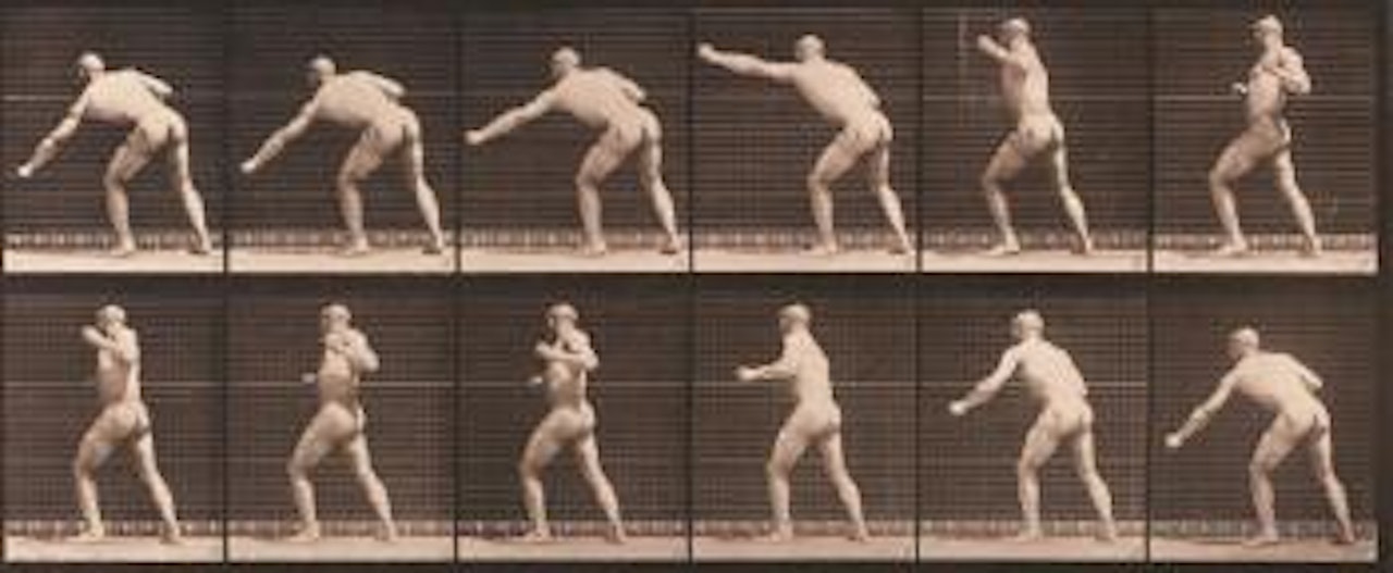 Animal Locomotion, Pl. 343 by Eadweard Muybridge