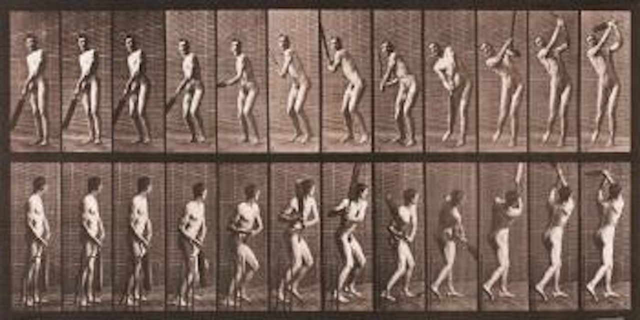 Animal Locomotion, Pl. 291 by Eadweard Muybridge