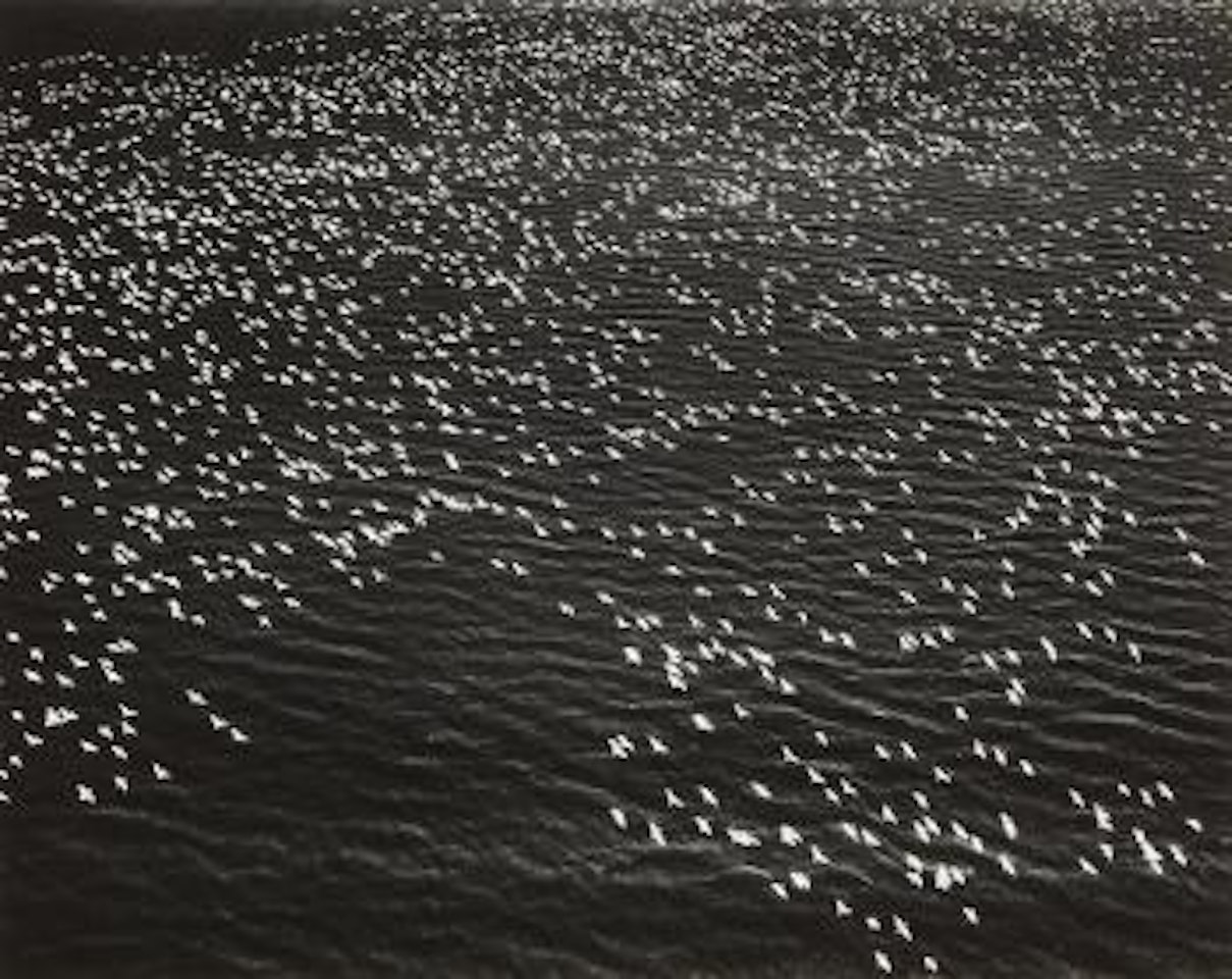 Migrating Snow Geese by Margaret Bourke-White