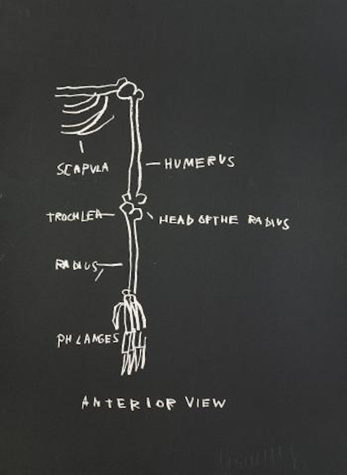 Anatomy: Anterior View by Jean-Michel Basquiat